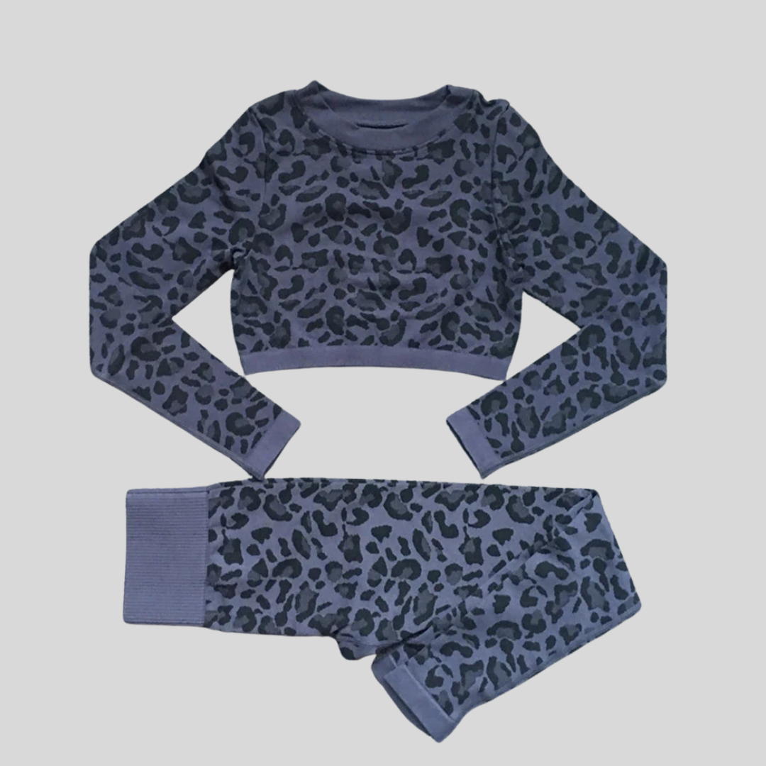 Women Leopard Printed 2 PCS Yoga Set Gym Shockproof Sports Bras Sport Leggings