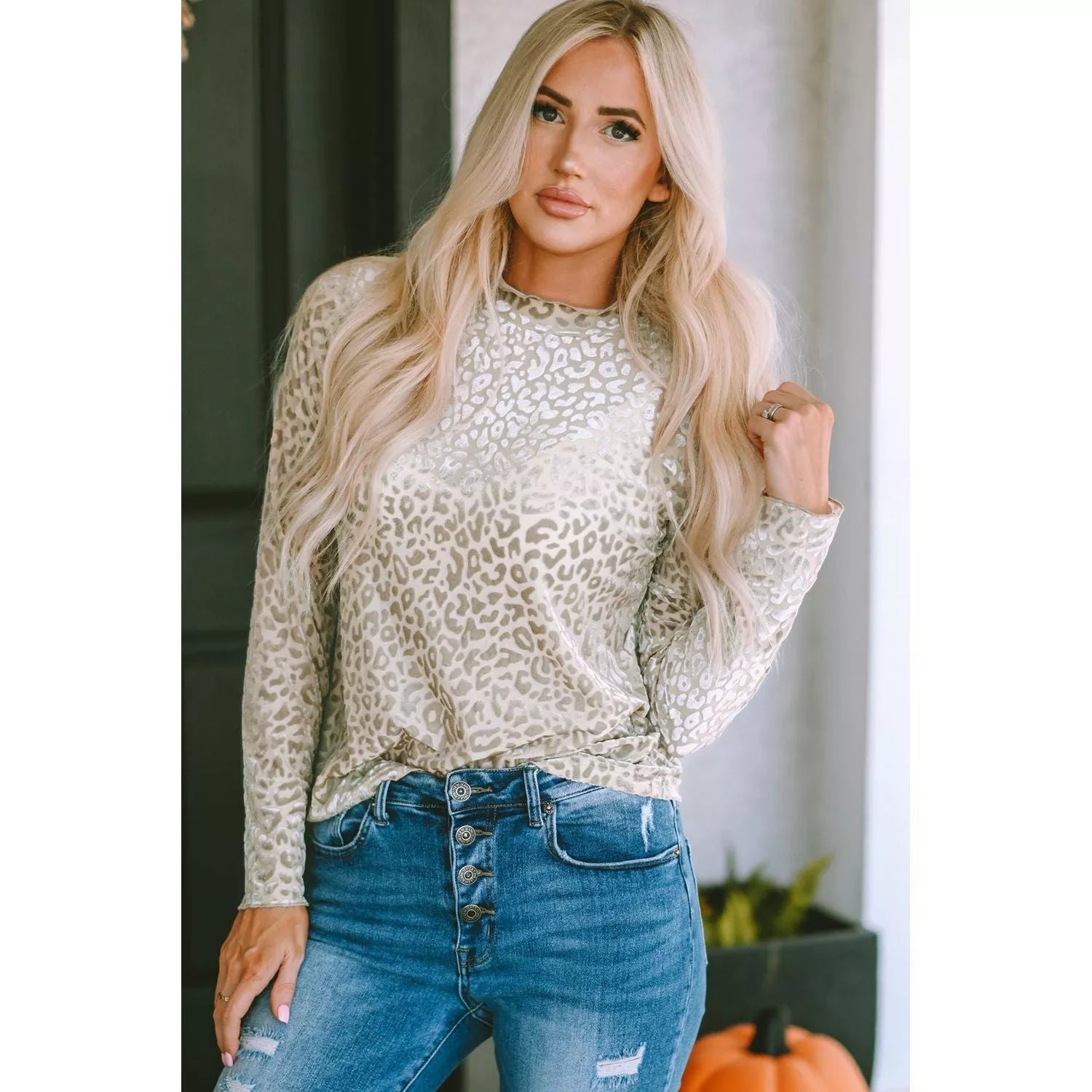 Round Neck Leopard Print Long Sleeve Tee