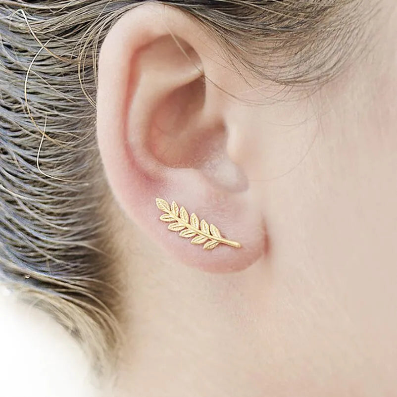 Earrings, Natural Landscape Mountain Ear Climber Earring Geography Jewelry Trekking